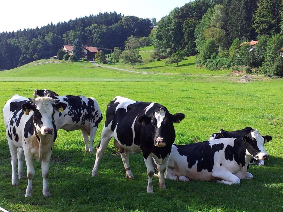 Direkt Zwischen Chiemsee U Alpen Dg Bernau am Chiemsee Eksteriør billede